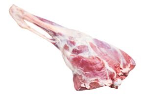 leg