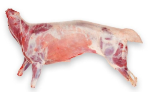 whole sheep